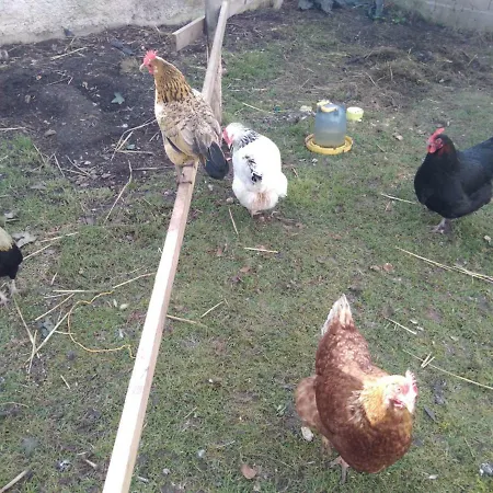 Les Tourterelles 住宿加早餐酒店